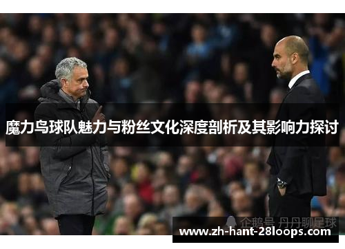 魔力鸟球队魅力与粉丝文化深度剖析及其影响力探讨