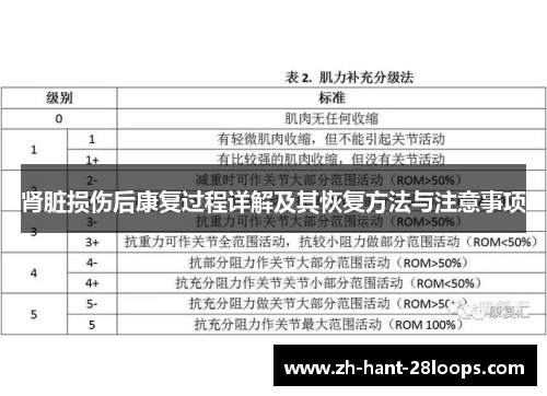 肾脏损伤后康复过程详解及其恢复方法与注意事项