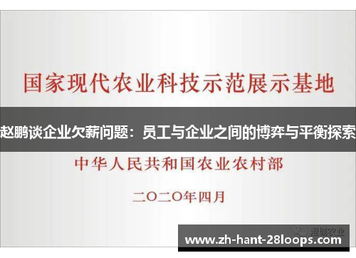 赵鹏谈企业欠薪问题：员工与企业之间的博弈与平衡探索