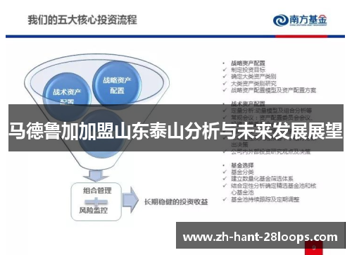 马德鲁加加盟山东泰山分析与未来发展展望 马德鲁加加盟山东泰山分析与未来发展展望